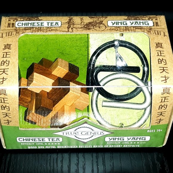 True Genius Brain-Teazer Puzzles NWT *Older Kids & Adults* - Picture 1 of 5